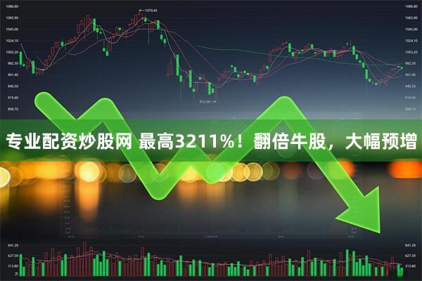 专业配资炒股网 最高3211%！翻倍牛股，大幅预增